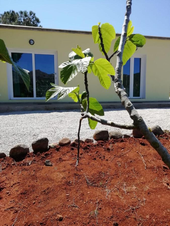 La Casa Dei Fichi Villa Porto Azzurro Kültér fotó